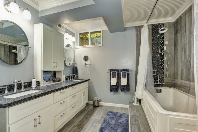 Vanity and Sink Areas